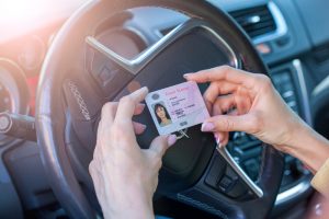 Getting a driver’s license, female hands show US driving license, amid the steering wheel of a car